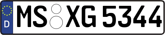 MS-XG5344