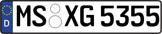 MS-XG5355