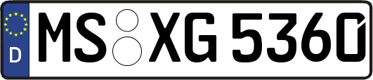 MS-XG5360