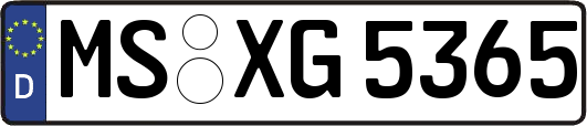 MS-XG5365