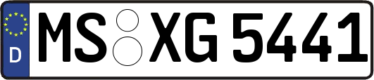 MS-XG5441
