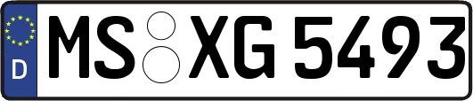 MS-XG5493