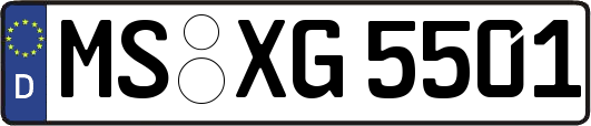 MS-XG5501
