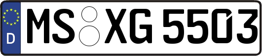 MS-XG5503