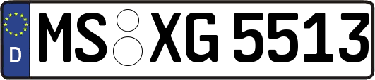 MS-XG5513
