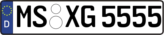 MS-XG5555