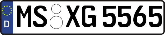 MS-XG5565