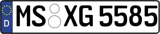 MS-XG5585