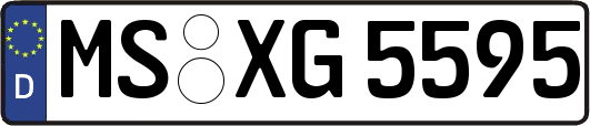 MS-XG5595