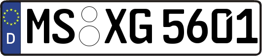 MS-XG5601
