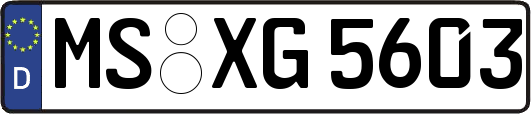 MS-XG5603