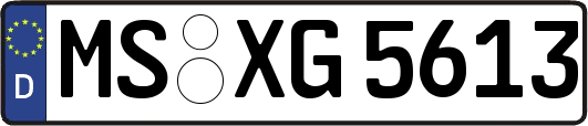 MS-XG5613
