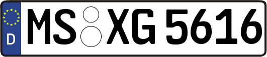 MS-XG5616