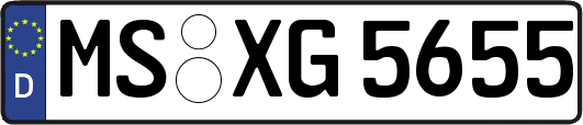 MS-XG5655