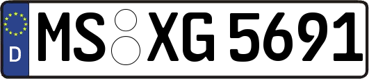 MS-XG5691