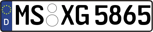 MS-XG5865