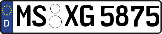 MS-XG5875