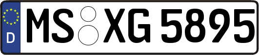 MS-XG5895