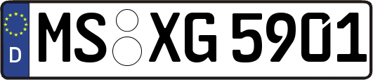 MS-XG5901