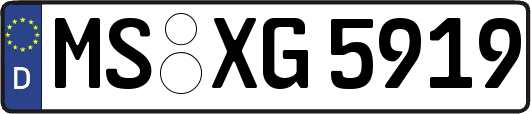 MS-XG5919