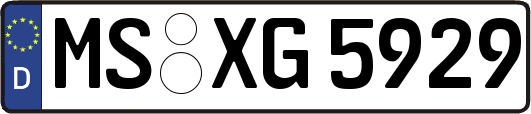 MS-XG5929