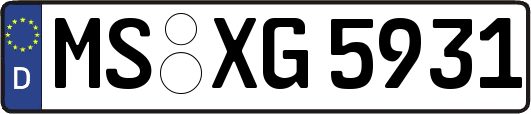 MS-XG5931