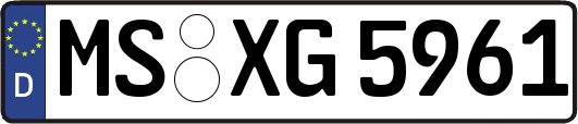 MS-XG5961