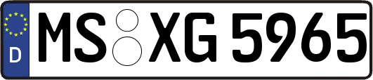 MS-XG5965