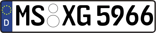 MS-XG5966