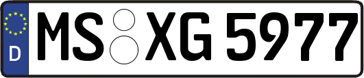 MS-XG5977