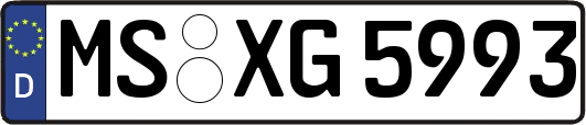 MS-XG5993