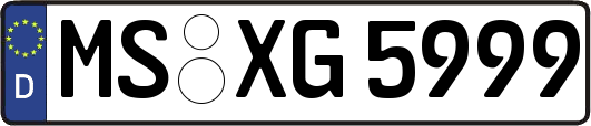 MS-XG5999