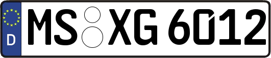 MS-XG6012