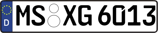 MS-XG6013