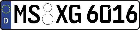 MS-XG6016