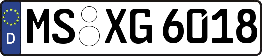 MS-XG6018