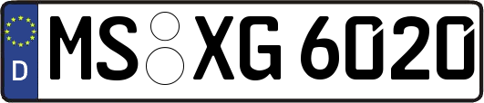 MS-XG6020