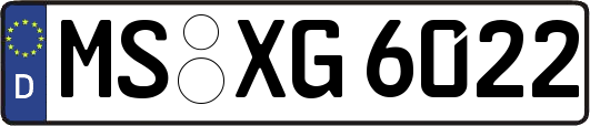 MS-XG6022
