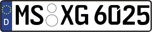 MS-XG6025