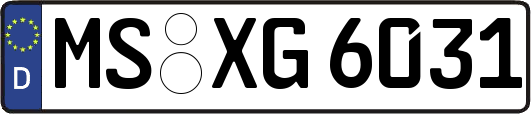 MS-XG6031