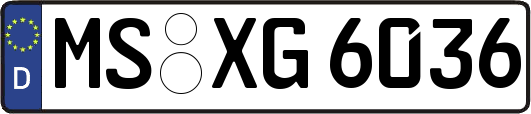 MS-XG6036