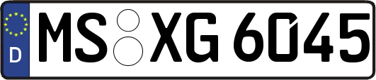 MS-XG6045
