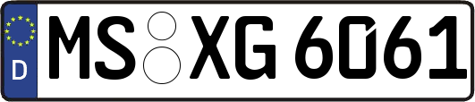 MS-XG6061
