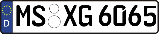 MS-XG6065