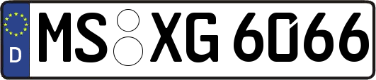 MS-XG6066