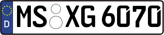 MS-XG6070