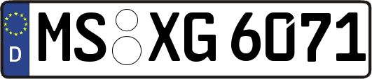 MS-XG6071