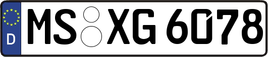 MS-XG6078