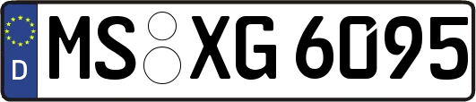 MS-XG6095