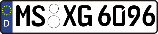 MS-XG6096